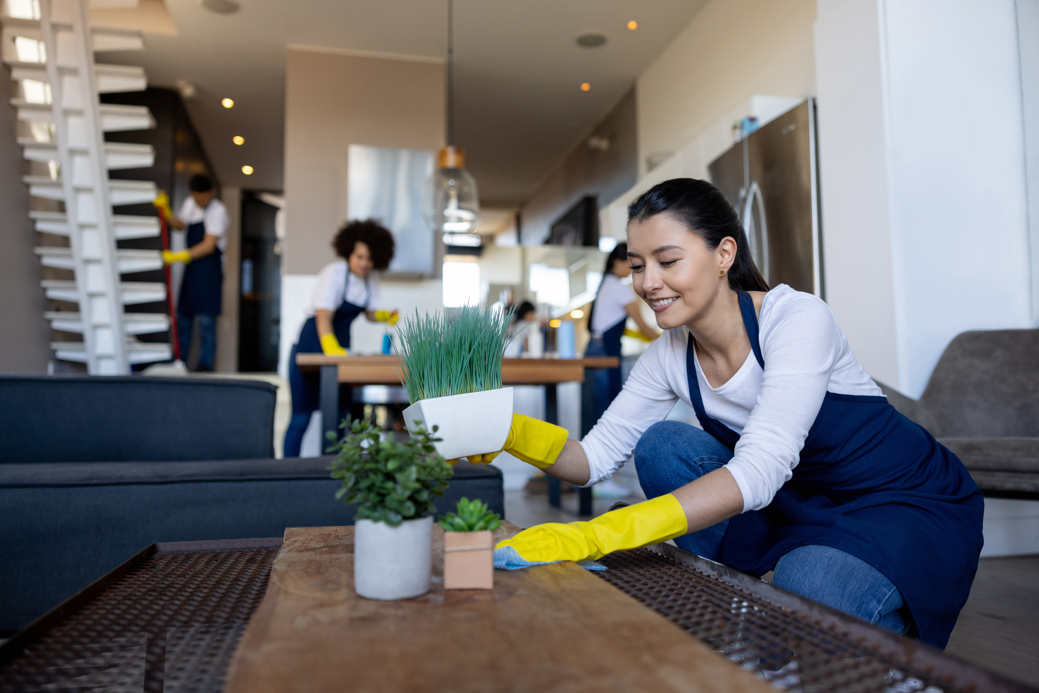 Cleaning Services